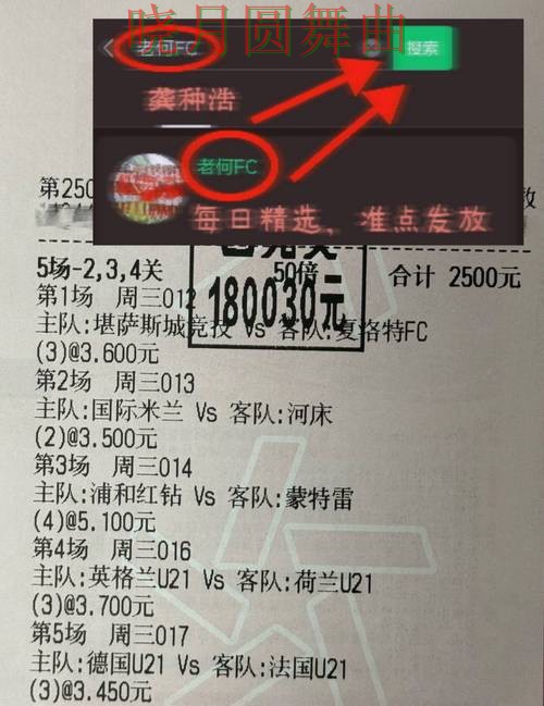 世界杯投注入口哪个好用更适合新手经验分享